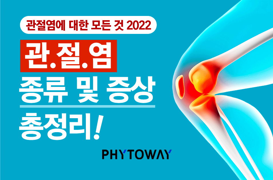 관절염 증상, 원인과 퇴행성관절염 vs 류마티스관절염 비교 / 관절염에 좋은 음식, 관절염 영양제 추천! 10