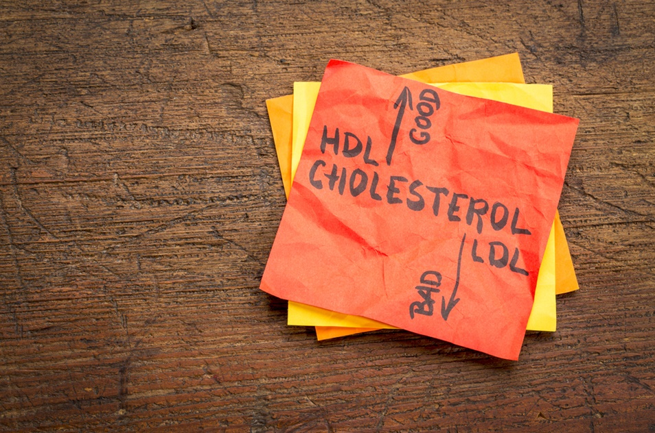 콜레스테롤낮추는법-HDL-파이토웨이