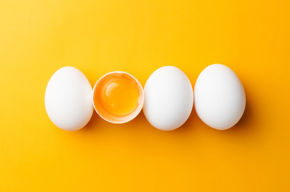 콜레스테롤-음식-지방-계란-파이토웨이
