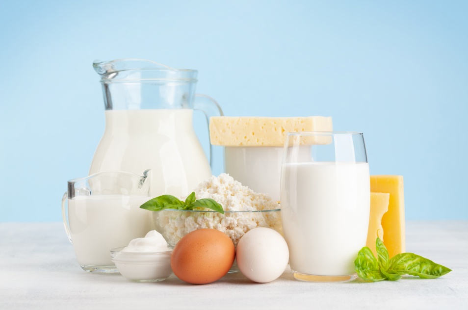 영양소-칼슘-단백질-엽산-썸네일-우유-유제품
